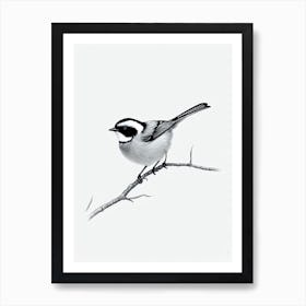 Carolina Chickadee B&W Pencil Drawing 1 Bird Art Print