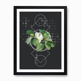 Vintage Magnolia Elegans Botanical with Geometric Line Motif and Dot Pattern n.0015 Art Print