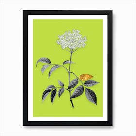 Vintage Elderflower Tree Black and White Gold Leaf Floral Art on Chartreuse Art Print