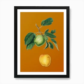Vintage Apple Botanical on Sunset Orange n.0942 Art Print