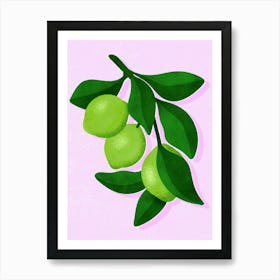 Limes Art Print