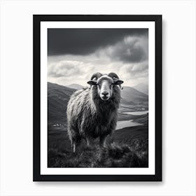Stormy Black & White Illustration Of Highland Sheep 1 Art Print