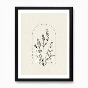 Lavender Flower Art Print