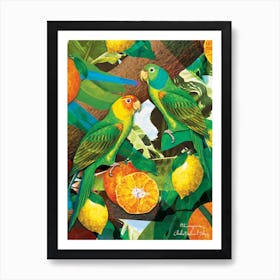 Parrots And Oranges Art Print