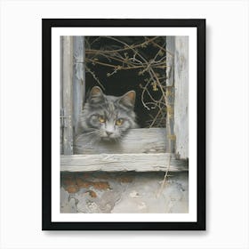 Cat Looking Out Of A Window 1 Art Print