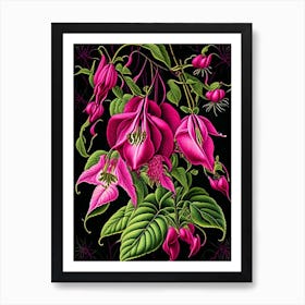 Fuchsia 3 Floral Botanical Vintage Poster Flower Art Print