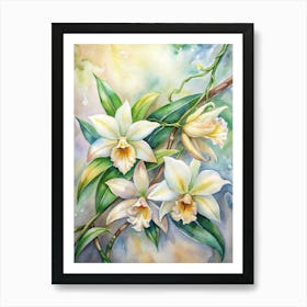 Orchids 1 Art Print