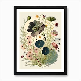 Cosmos Wildflower Vintage Botanical 2 Art Print