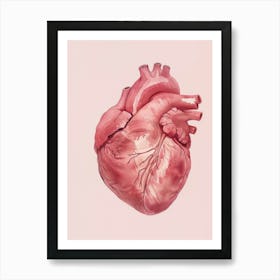 Pink Heart Art Print