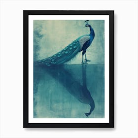 Turquoise Cyanotype Inspired Peacock & Reflection Art Print