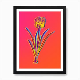 Neon Mourning Iris Botanical in Hot Pink and Electric Blue Art Print