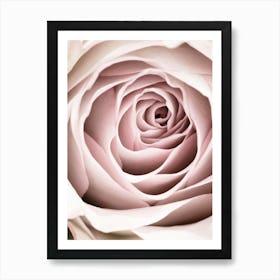 Pink Rose Petal Bright_2066827 Art Print