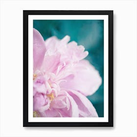 Pink Peony on Blue Art Print