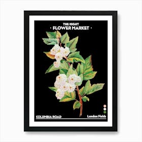 Flower Market Night Columbia Road London Fields Vintage Botanical Art Print