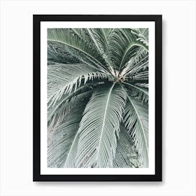 Palm Tree Art Print