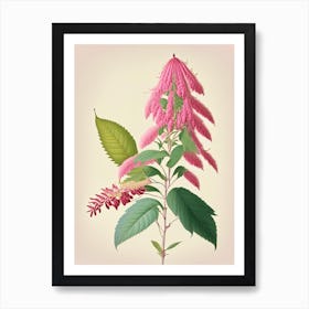 Poison Sumac Vintage Pastel 2 Art Print