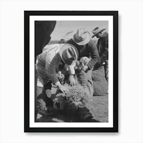 Judging Sheep At The San Angelo Fat Stock Show, San Angelo, Texas By Russell Lee Art Print