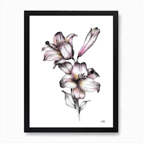 Watercolour Two Flowers and a Bud Art Print