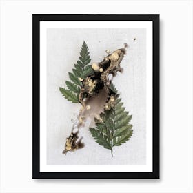 Abstract Ferns Art Print