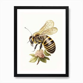 Honeybee And Flower 4 Vintage Art Print