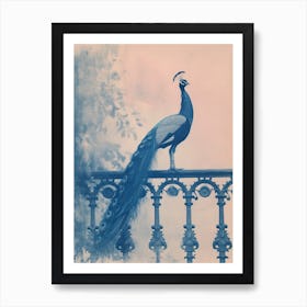 Cyanotype Inspired Peacock Resting On A Handrail 1 Art Print