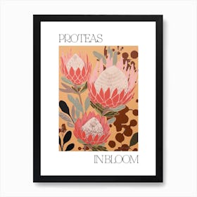 Proteas In Bloom Flowers Bold Illustration 4 Art Print