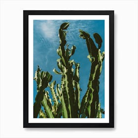 Cactus Sky II Art Print