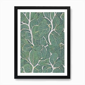 Common Fig tree Vintage Botanical Art Print