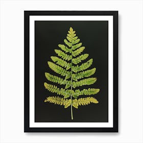 Pattern Poster Rabbits Foot Fern 1 Art Print