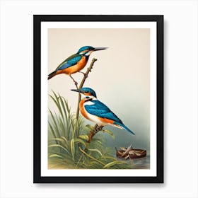 Kingfisher James Audubon Vintage Style Bird Art Print