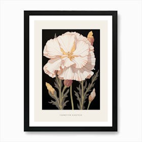 Flower Illustration Carnation Dianthus 8 Poster Art Print