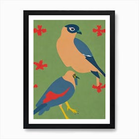 Eurasian Sparrowhawk Midcentury Illustration Bird Art Print