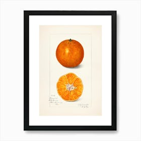 Oranges 2 Art Print