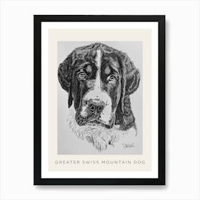 Greater Swiss Mountain Dog Line Sketch 2 Poster Art Print