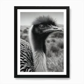 Emu in the wild Art Print