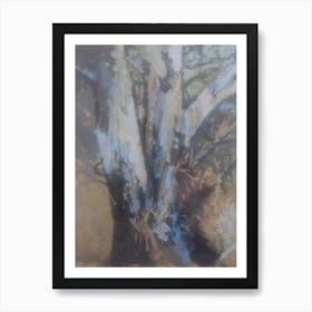 Eucalyptus Tree Art Print