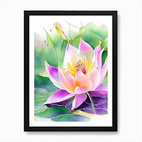 Lotus Flower In Garden Watercolour 2 Art Print