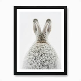 Rabbit Hare Art Print