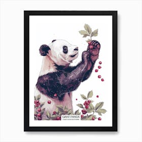 Giant Panda Picking Berries Poster 7 Art Print