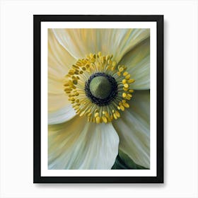 White Anemone Flower Art Print