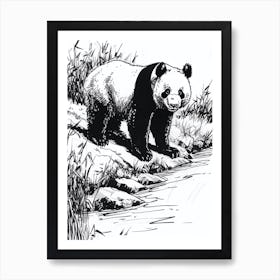 Giant Panda Standing On A Riverbank Ink Illustration 4 Art Print