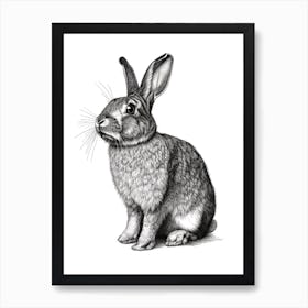 English Lop Blockprint Rabbit Illustration 4 Art Print