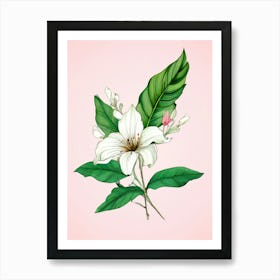 Lily Of The Valley 28 Art Print