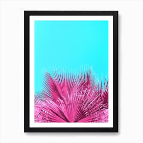 Pink Mexican Fan Palm Fronds Art Print