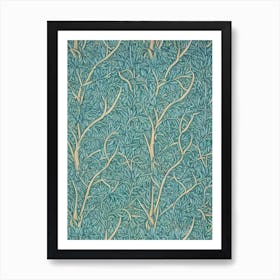 Bristlecone Pine 1 tree Vintage Botanical Art Print
