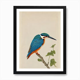 Kingfisher Illustration Bird Art Print