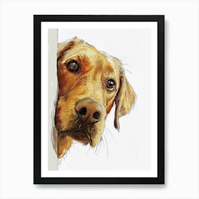 Golden Retriever Art Print