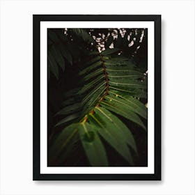 Green Tropical Leaf Art Print