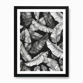 Black And White Banana Leaves 2 Art Print