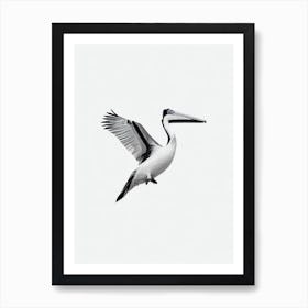 Pelican B&W Pencil Drawing 3 Bird Art Print